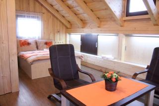 Apartmány, Penzion, Wellness U zlaté rybky - Vyškov - 5
