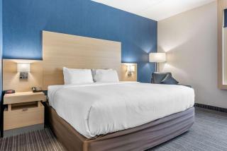 Quality Inn & Suites - Oakville - 3