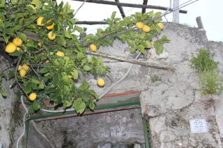 Marella - Minori - 4