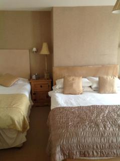 Alston House Hotel - Alston - 5