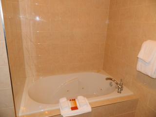 Belvedere Inn Schenectady - Albany - Schenectady - 2