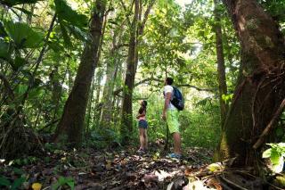 Arenal Ginger Home - Fortuna - 3