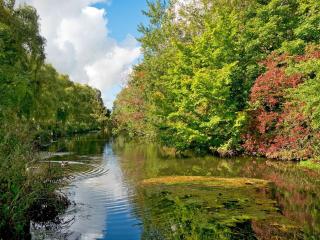 Bettys House - Great Ryburgh - 9
