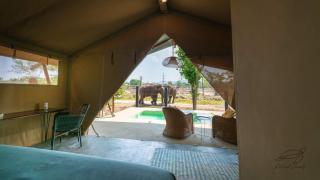 Elephant View Camp - 9
