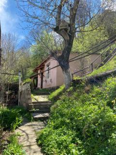 Dili-Jan - Dilijan - 0