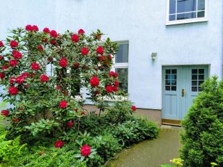 Quiet studio apartment in Prenzlauer Berg near Mauerpark - Berlino - 9