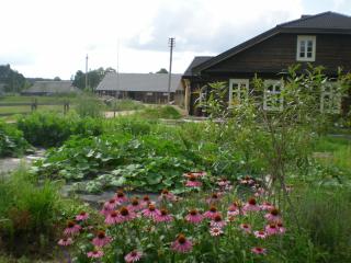 Senosios Gegužinės ūkis - Gegužinė - 8