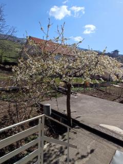 Apartman Bor - Livno - 4