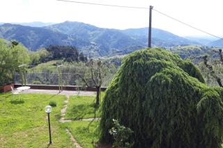 Casa Zita dei fiori - Santa Maria Albiano - 4