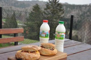 Tara Suncani sjaj-planinska kuca - Šljivovica - 2