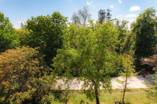 Maison Labruyère Bordeaux - Jardin Public - Bordeaux - 1