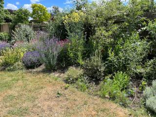 2 bed flat - SW London with parking - Teddington - 7