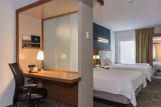 SpringHill Suites by Marriott Charlotte Ballantyne - Charlotte - 2