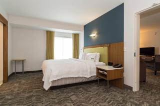 SpringHill Suites by Marriott Charlotte Ballantyne - Charlotte - 1