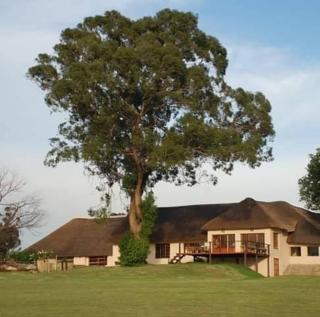 ThakhuBrunfelsia - Secunda - 0