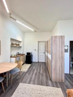 1 bedroom studio close to Palmovka - Prague - 5