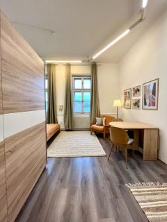 1 bedroom studio close to Palmovka - Prague - 4