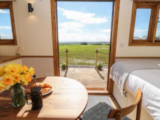 Buzzards - Crediton - 8
