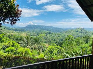 Rainforest Nature House - Deniyaya - 2