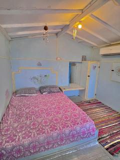 Sina Star Camp - 5
