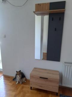 Apartman Zvezdica -Smederevo, Netflix - Smederevo - 1
