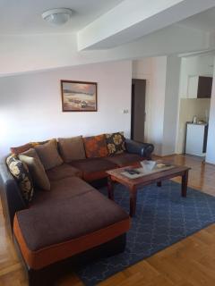 Apartman Zvezdica -Smederevo, Netflix - Smederevo - 5