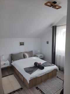 Casa Piatra Craivii, aproape de Alba Iulia - 4