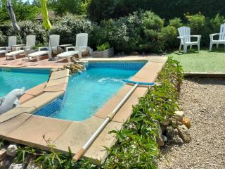 Le clos des cigales jasmins - Le Thoronet - 9