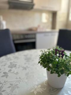 Apartman Biser Jadrana - Brodarica - 9