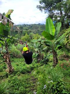 Chalet Ecoturismo La Nohelia - 7
