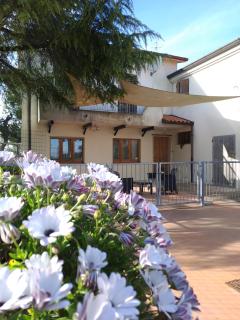 Casa Olea - Montarice - 7