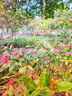 Recanto Villa São João - 5