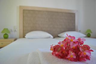 Antigoni Apartments 'Olive Room' - Milatos - 9