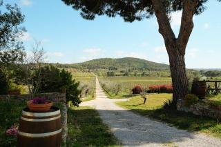 Agriturismo biologico Bulichella - Suvereto - 9