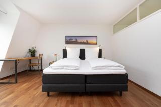 Bike- und Ferienhotel Freiburg - Friburgo em Brisgóvia - 8