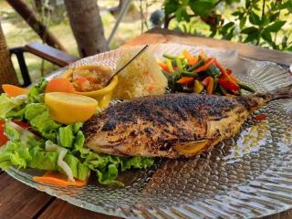 Superbe studio lumineux, vue sur piscine et mer - 3