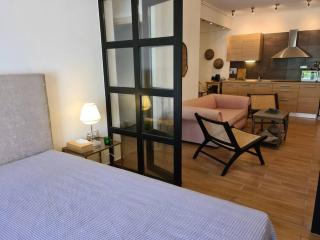 Aelia luxury apartment with private entrance - Karavomylos - 6