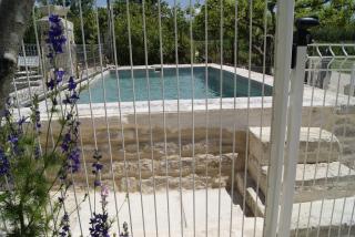 Gîte en Provence Lavande - Modène - 9