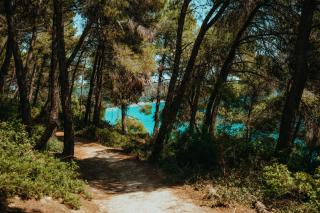 Vacation home with large garden in Sani's forest - Sani Beach - 4