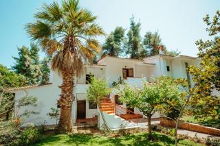 Vacation home with large garden in Sani's forest - Sani Beach - 9