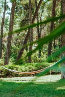 Vacation home with large garden in Sani's forest - Sani Beach - 6
