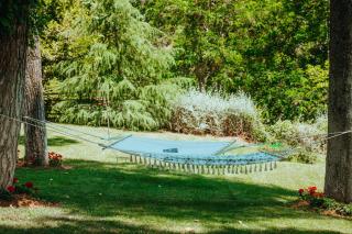 Vacation home with large garden in Sani's forest - 8