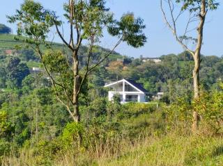 Winter Woods - Vagamon - 9