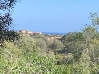 Beau T2 entre Santa Giulia et Palombaggia - - 3