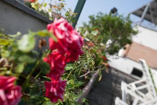 Hotel Rainero - Asti - 5