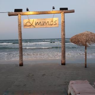 Mamaia Summerland MRS - Mamaia - 8