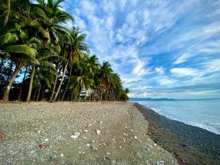 Villa Eliza Ecofarm - 8