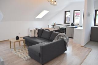 Cosy&Minimalistic Apartments - Haret Building - Sinaia - 7