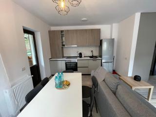 Cosy&Minimalistic Apartments - Haret Building - Sinaia - 4