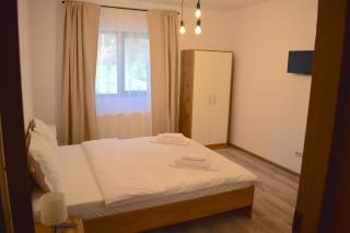 Cosy&Minimalistic Apartments - Haret Building - Sinaia - 3